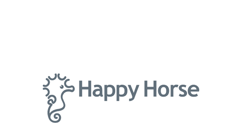 HAPPY HORSE