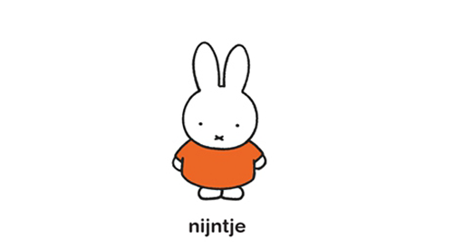 NIJNTJE