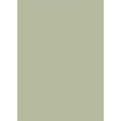 DUNI TAFELLAKEN DUNISILK 138X220PISTACHE - 209695 - *0010253214