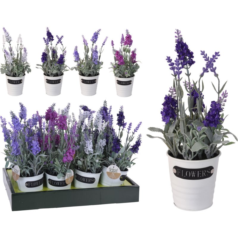 PLANT LAVENDEL IN METALEN POT - 317353900 composition 001  - 317353900