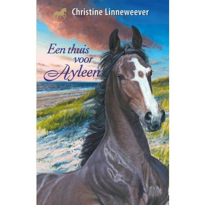 EEN THUIS VOOR AYLEEN - 543x840 2 - *0010244238