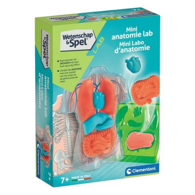 CLEMENTONI WETENSCHAP EN SPEL SQUISHY AN - 608 6605 - 608-6605
