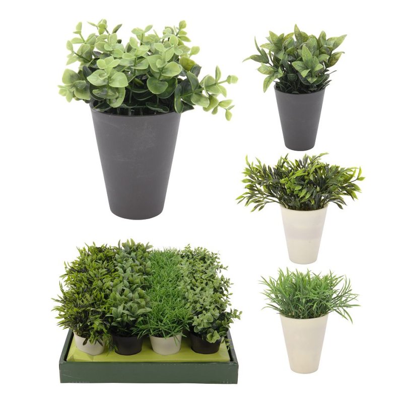 PLANTJE IN POT 4 ASSORTI - 8718158501820 - 8718158501820