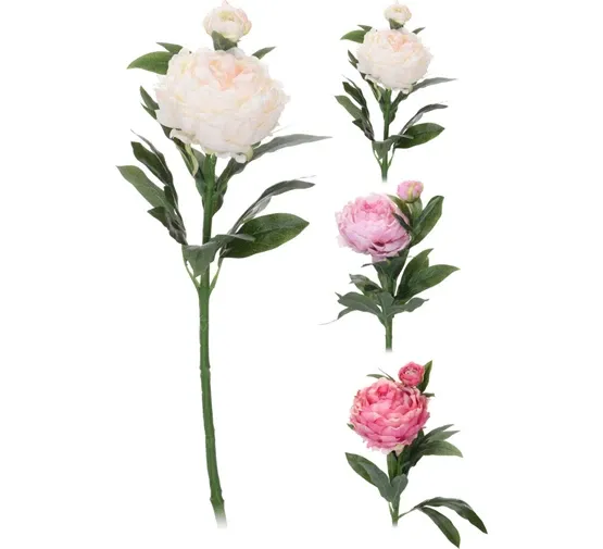 KUNSTBLOEM PIOENROOS 17X17X61CM 3 ASSORT - 8719202971439 - 101-7008