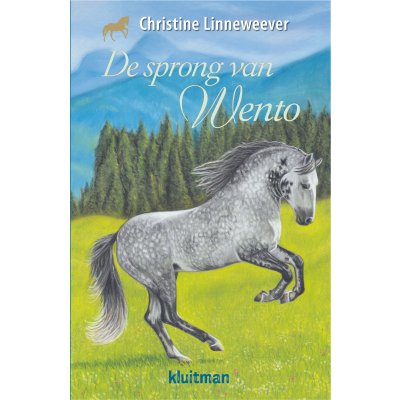 DE SPRONG VAN VENTO - 9789020622942 - *0010259158
